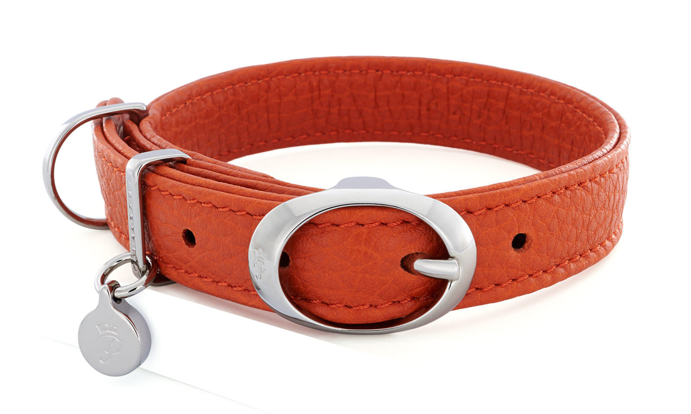 Pantofola Italian luxury leather dog collar in Tarocco, Small