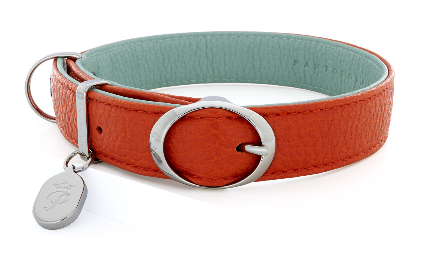 Pantofola Italian luxury leather dog collar in Tarocco / Celeste, Medium