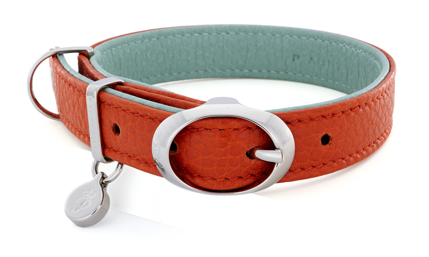 Pantofola Italian luxury leather dog collar in Tarocco / Celeste, Small