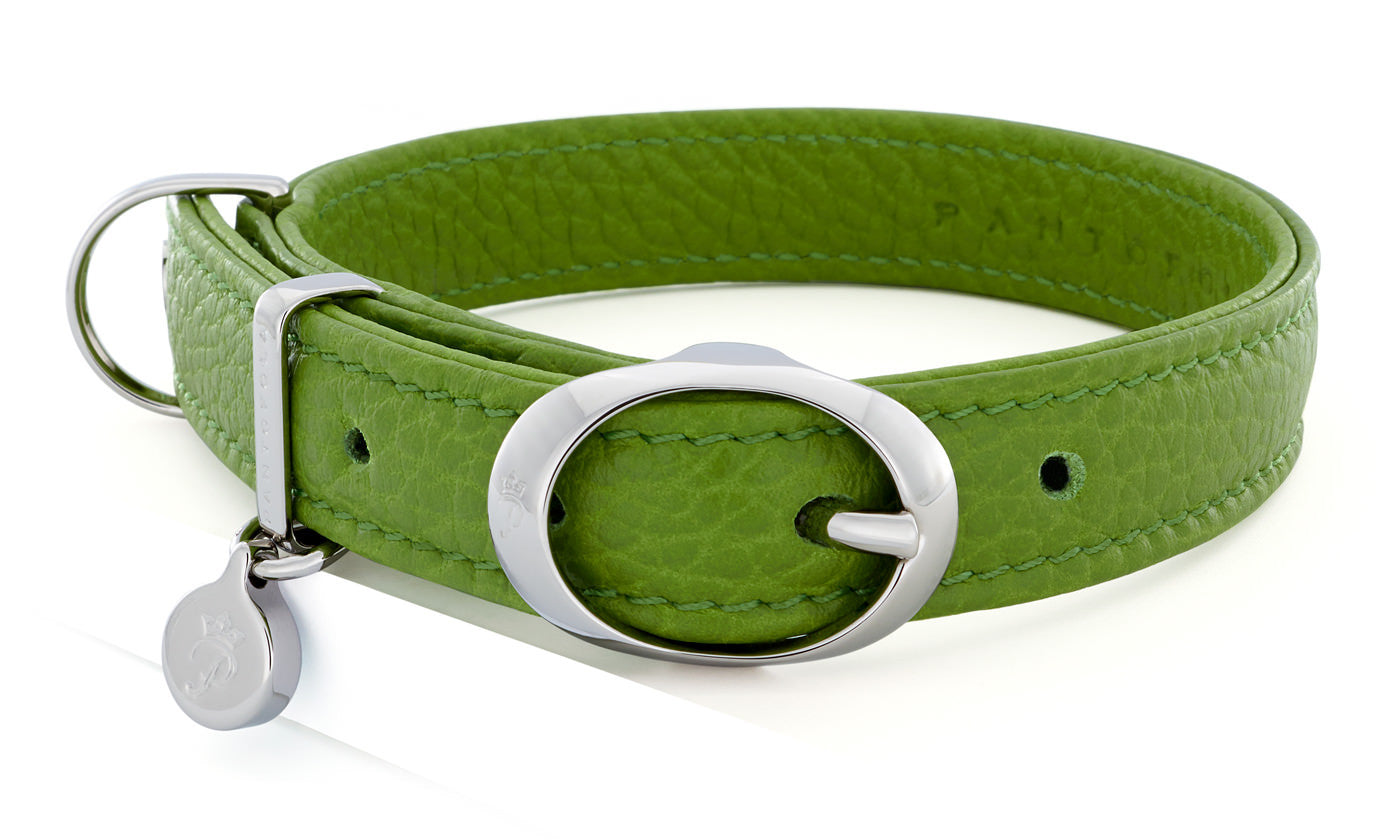 Pantofola Italian luxury leather dog collar in Pistacchio, Small