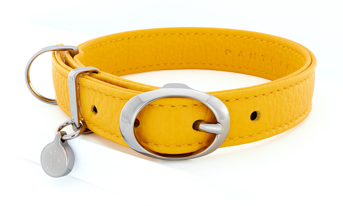 Pantofola Italian luxury leather dog collar in Limone, Small