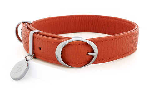 Pantofola Italian luxury leather dog collar in Tarocco, Medium