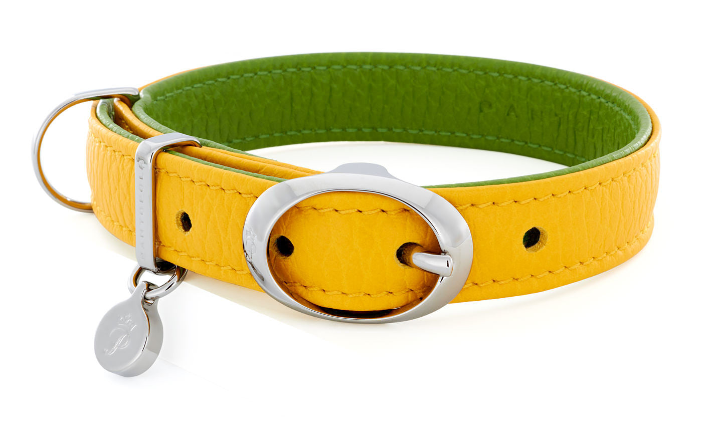 Pantofola Italian luxury leather dog collar in Limone / Pistacchio, Small